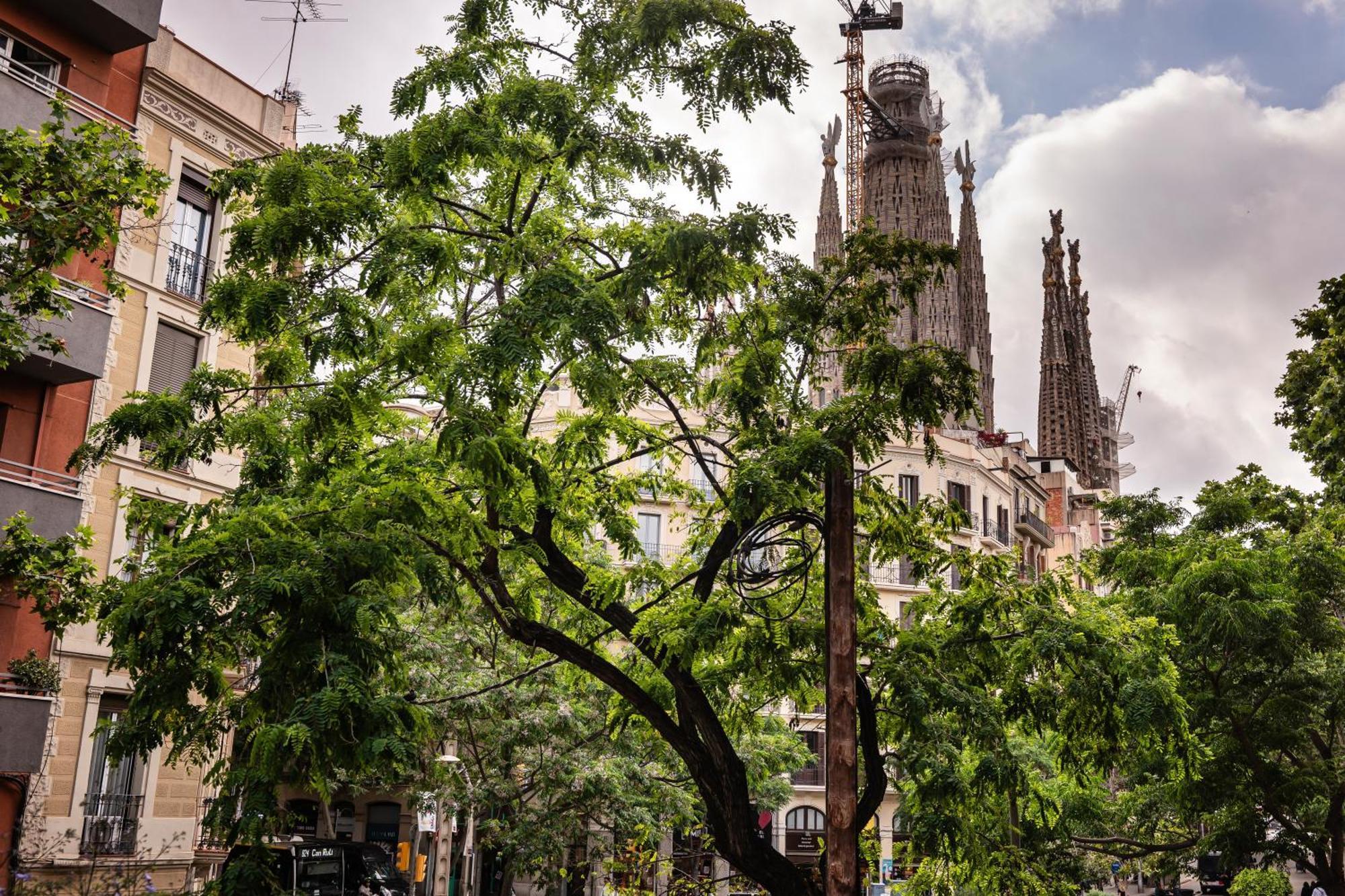 Appartamento Sweett - Rosemarine Barcellona Esterno foto